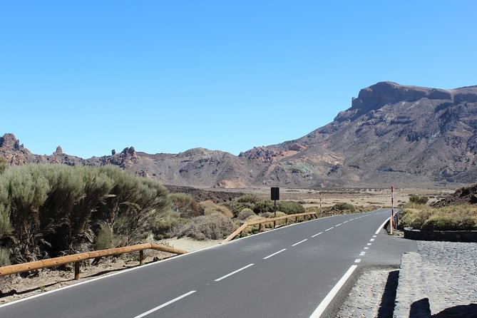 Quad Tour to the Teide National Park (3.5H) - Reviews Summary