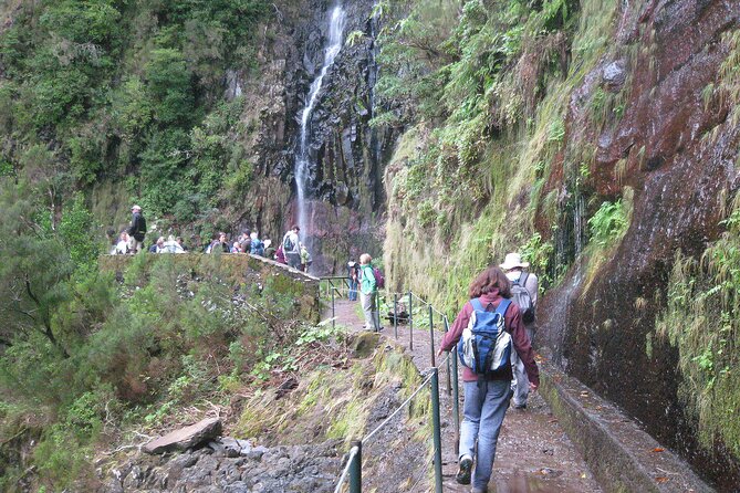 Rabaçal - Risk - 25 Sources Levada Walk - Experience the 25 Water Springs Walk