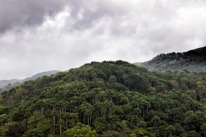 Rainforest Tour - Important Notes