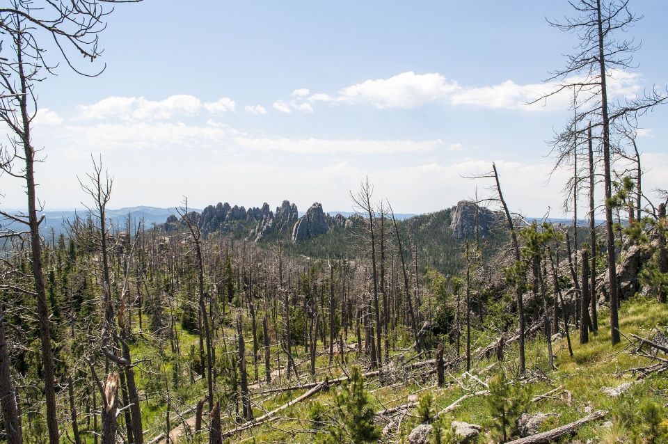 Rapid City: Private Black Hills Monuments Full-Day Tour - Custer State Park