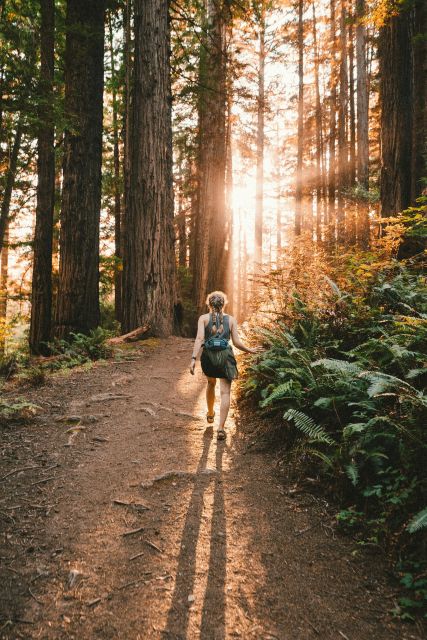 Redwoods Full Day Private Tour and Hike - Important Logistics and Considerations