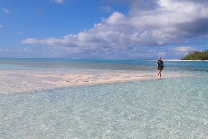 Reef, Beach and Sandbar Tour From Providenciales - Snorkeling Experience