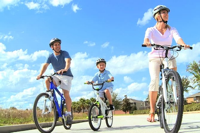 Rent City Bike Optional Baby Seat or Child Bike :Visit Maspalomas - Bike Types and Features