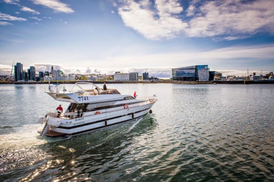 Reykjavik: Northern Lights Motor Yacht Cruise - Cruise Duration and Schedule