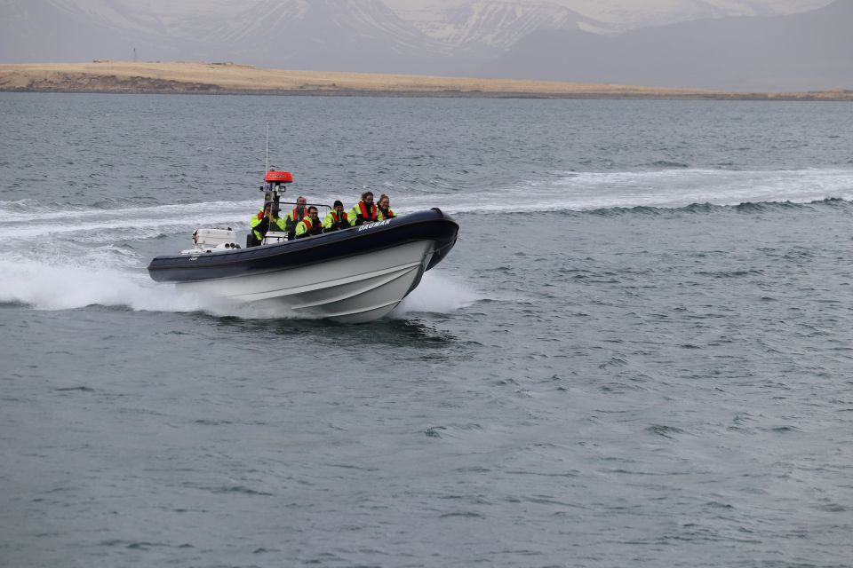 Reykjavik: Puffin Watching Tour by RIB Speedboat - Mobile App Information