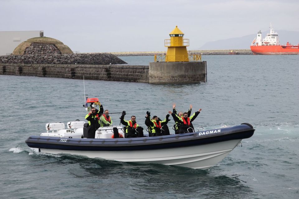 Reykjavik: Whale Watching Tour by RIB Boat - Puffin Nesting Grounds