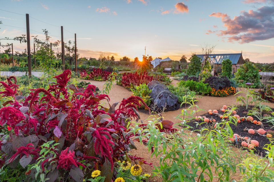 RHS Wisley and Hampton Court Palace Private Tour - Outdoor Spaces and Gardens