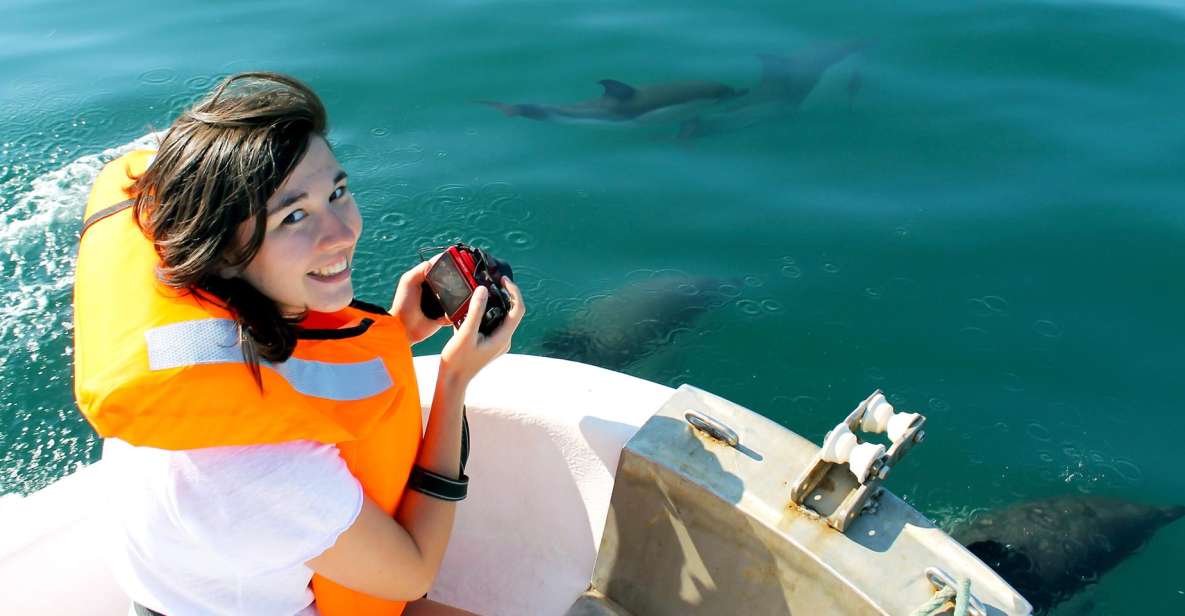 Ria Formosa: Dolphin-Watching Boat Tour - Accessibility and Languages