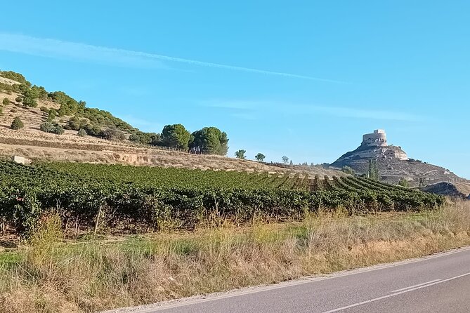 Ribera Del Duero 1 Day Wine Tour in English From Madrid - Meeting Point and Pickup