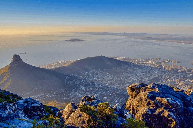 Robben Island Half Day Tour With Pre-Booked Ticket From Cape Town - Pricing and Availability