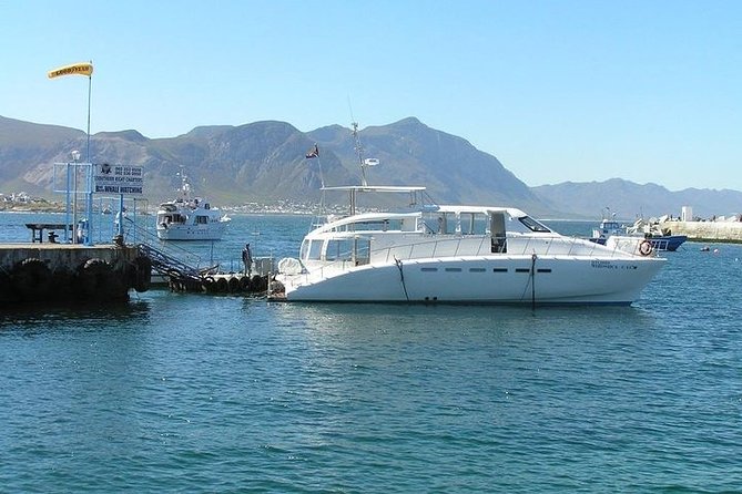 Robben Island Half Day Tour With Pre-Booked Tickets. - Accessibility and Transportation