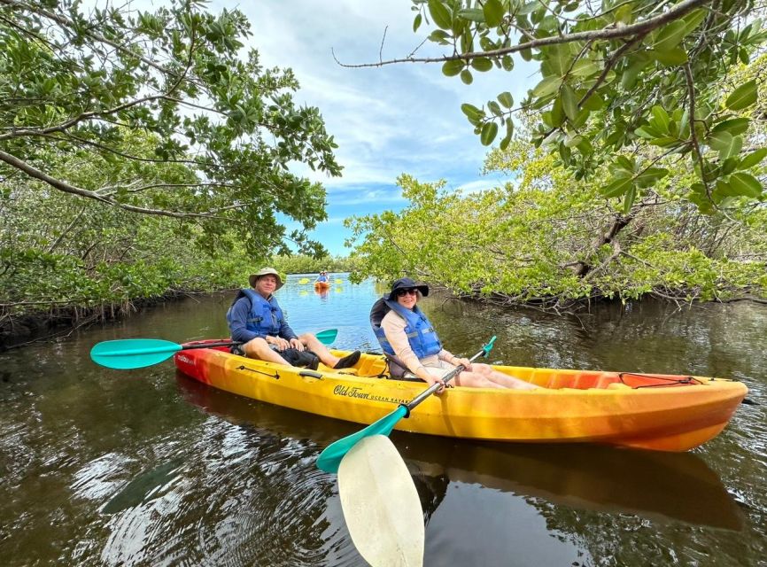 Robinson Preserve Mangrove Tour - Booking Information