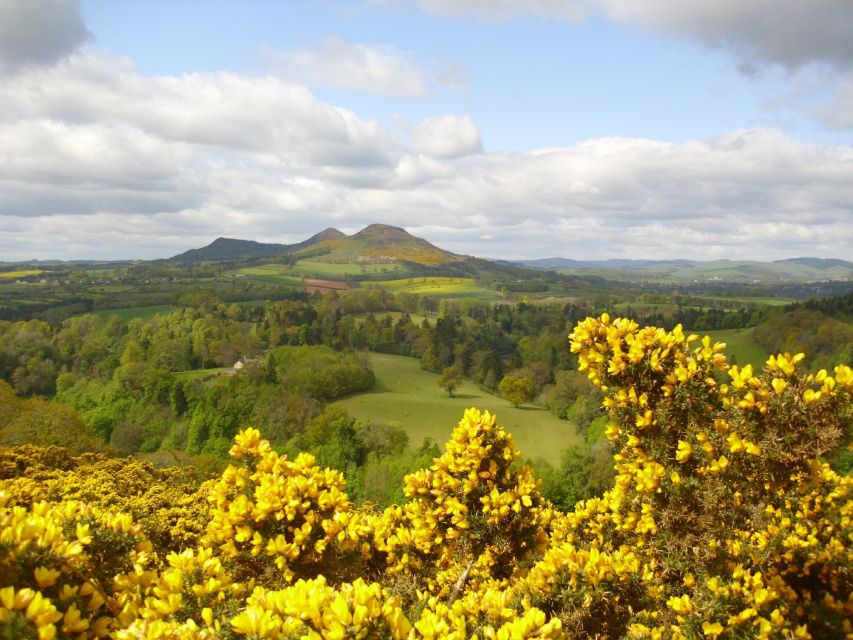 Rosslyn Chapel & Scottish Borders Tour From Edinburgh - Admiring the Eildon Hills