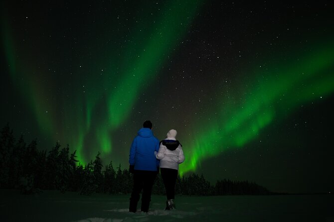 Rovaniemi 2 Days Activities Package - Ranua Wildlife Park