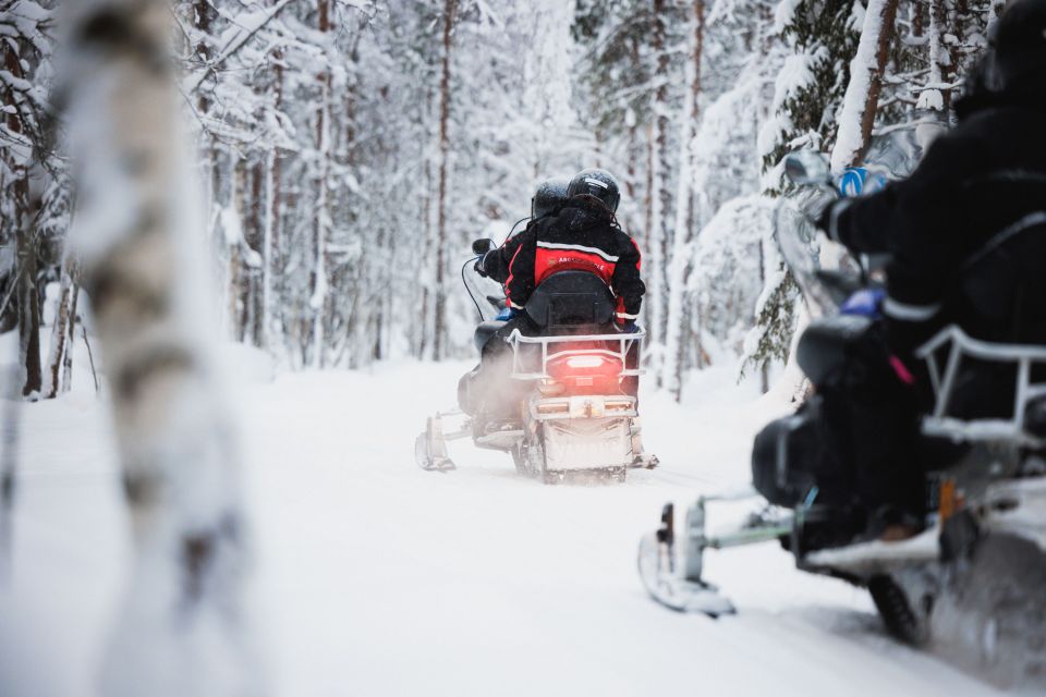 Rovaniemi: Arctic Circle Highlights by Snowmobile - Reindeer Sleigh Ride