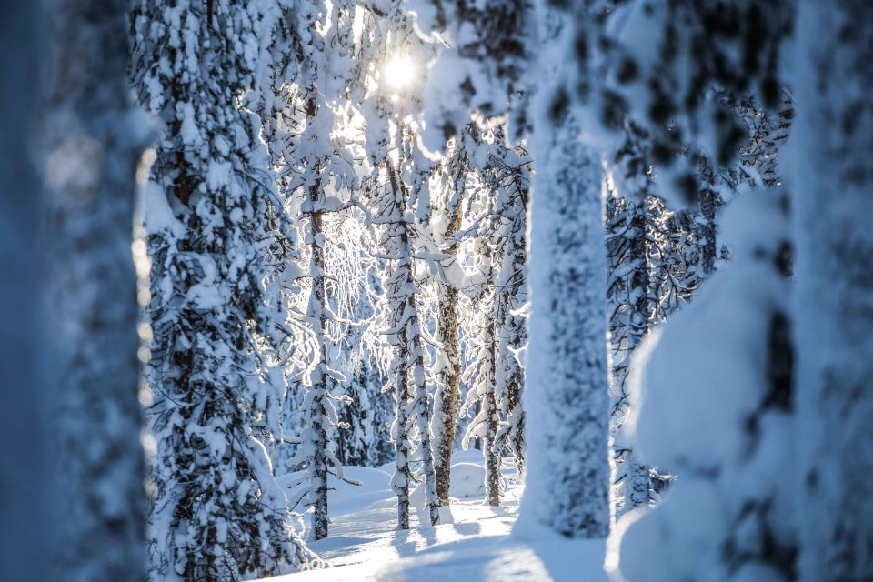 Rovaniemi: Backcountry Skiing Adventure - Gear and Equipment Provided