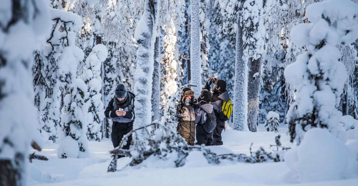 Rovaniemi: Nordic Forest Wilderness Adventure - Authentic Lapland Experience