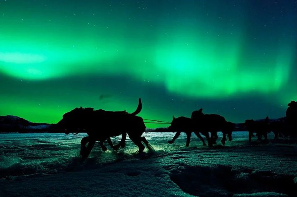 Rovaniemi: Northern Lights and Husky Sleigh Ride - Pickup and Drop-off Details