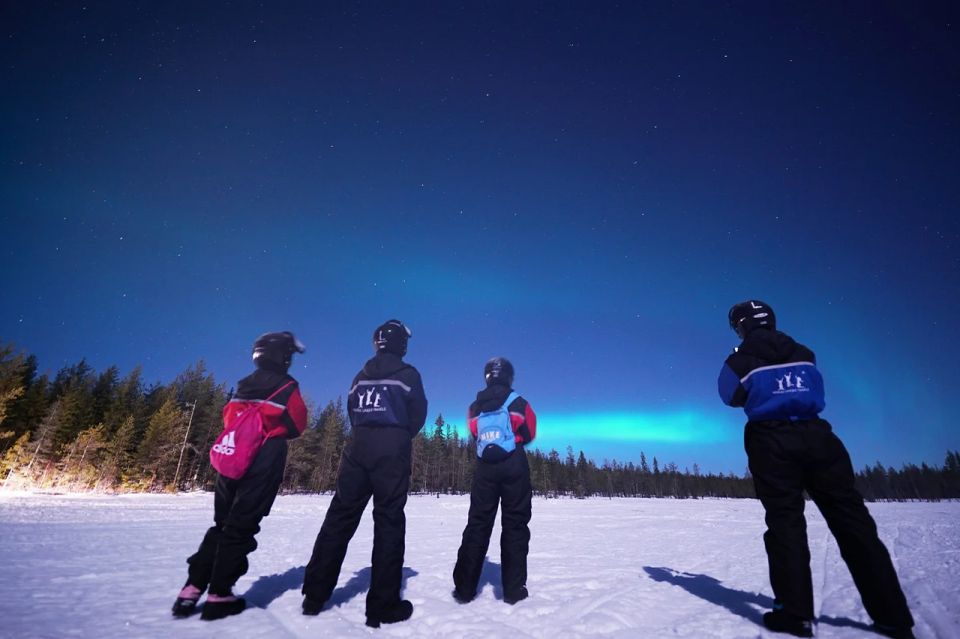 Rovaniemi: Northern Lights Sleigh Ride - Age Restrictions and Group Size