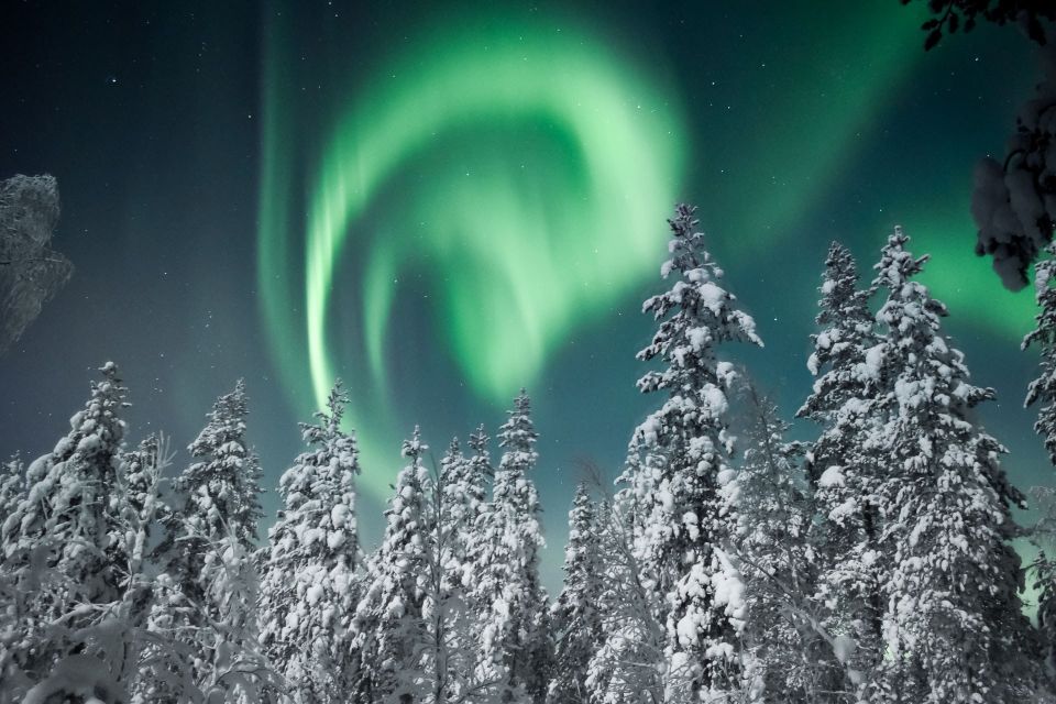 Rovaniemi: Search for Northern Lights Snowmobiling Trip - Minimum Requirements