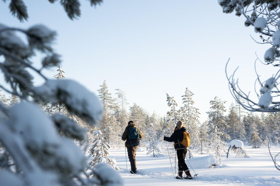 Rovaniemi: Small-group Ski Trek to the Wilderness - Certified Wilderness Guide