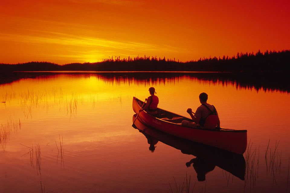 Rovaniemi: Wilderness Kayaking Adventure Trip With Hot Drink - Customer Reviews and Ratings