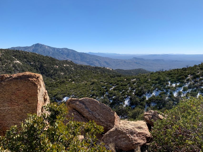 Saguaro National Park: Day Tour & Hike - Transportation Convenience