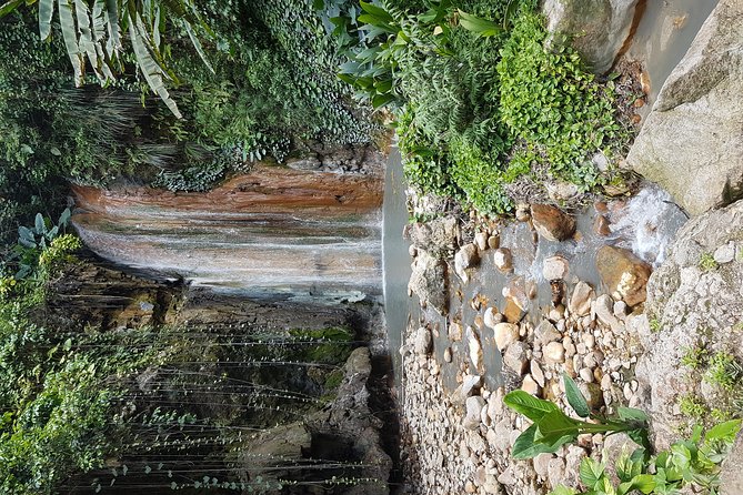 Saint Lucia Sulphur Springs Rejuvenating Mud Bath Tour - Toraille Waterfall Dip