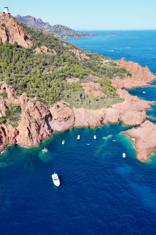 Saint Tropez: 2-Hour Evening Catamaran Cruise With Aperitif - Meal and Drink Options