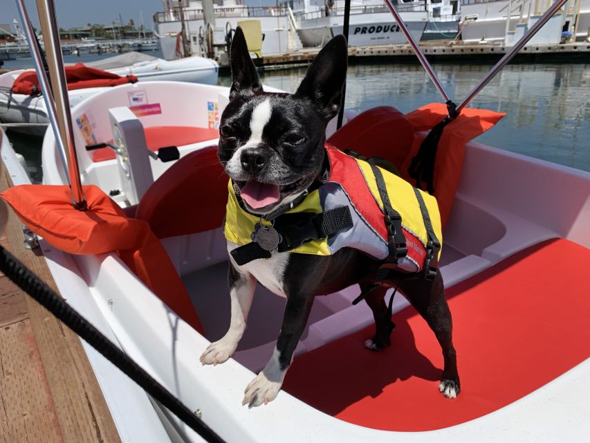 San Diego: San Diego Bay Dog-Friendly Eco Pedal Boat Rentals - Amenities and Equipment