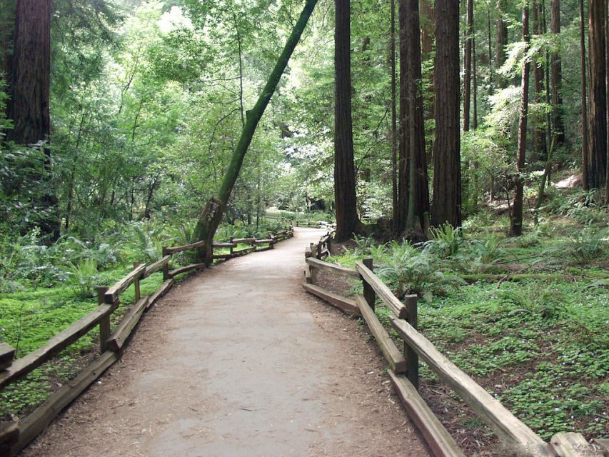 San Francisco: Muir Woods Tour & Hop-On Hop-Off Bus Pass - Audio Guide in 10 Languages