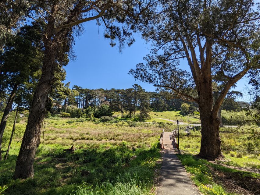 San Francisco Presidio Scavenger Hunt Walking Tour and Game - Tour Duration and Completion