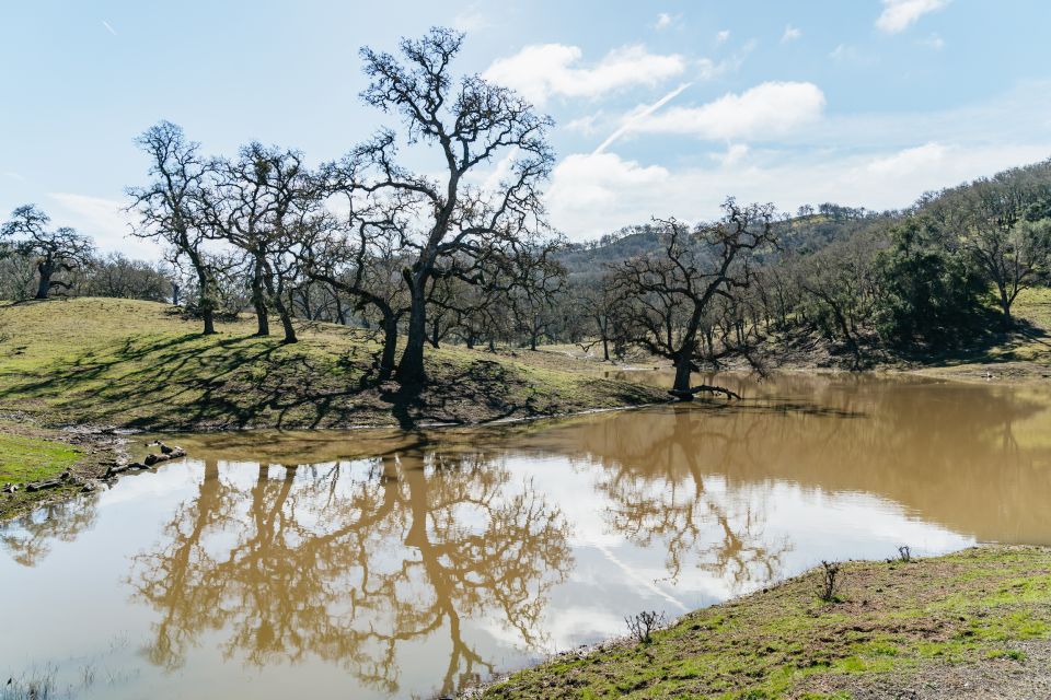 San Luis Obispo: Santa Lucia Guided Nature Tour by Hummer - Learning Local History