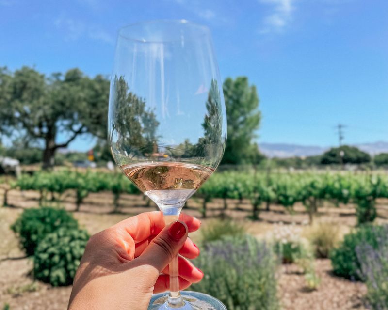 Santa Barbara: Wine Country Tour - Included Experiences