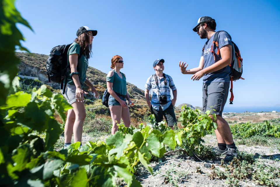 Santorini: Cooking Class and Easy Hike - Hiking Trail and Views