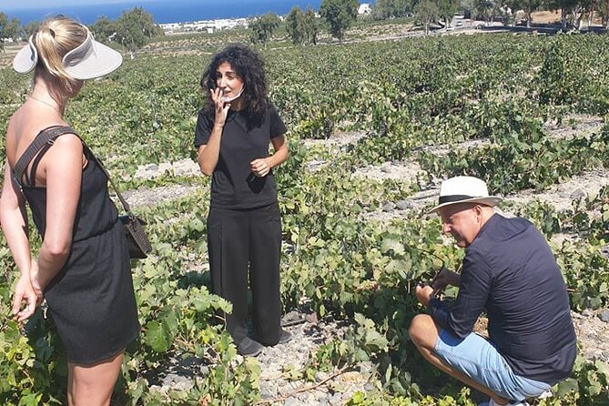 Santorini Wine Secrets - Local Varietals Unveiled