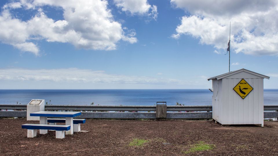 Sao Miguel: Azorean Whalers Heritage Tour - Important Information