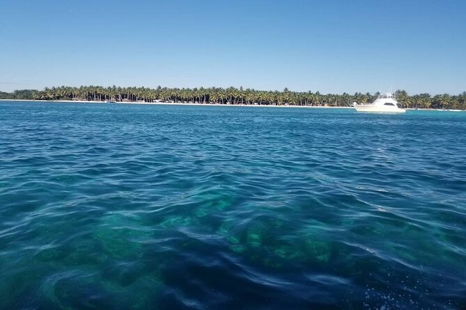 Saona Island Full-Day Tour From Las Terrenas With Lunch - Island Conditions and Activities