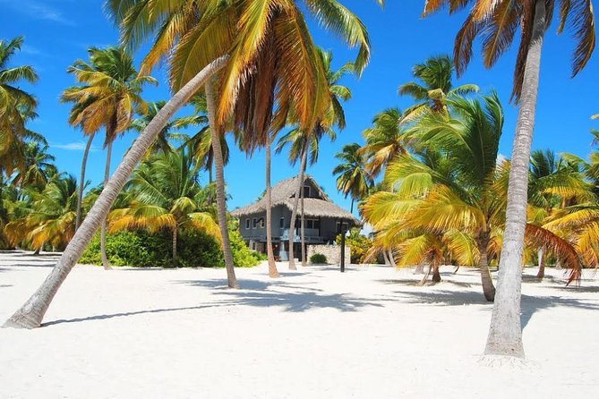 Saona Island VIP - Full Day Excursion - Savoring the Lunch Buffet