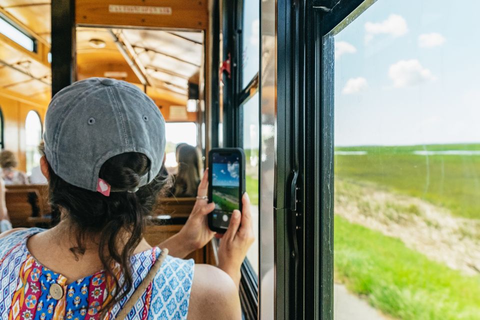 Savannah: Tybee Island Dolphin Tour - Important Information