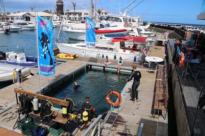 Scuba Diving Baptism in Caleta De Fuste - Meeting Point and Schedule