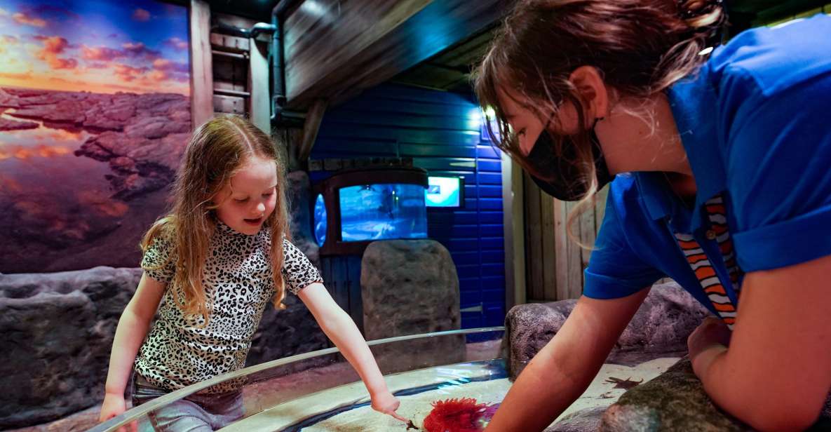 SEA LIFE Great Yarmouth - Encounter African Crocodiles