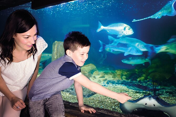 SEA LIFE Munich Admission Ticket - Meeting and Pickup Details