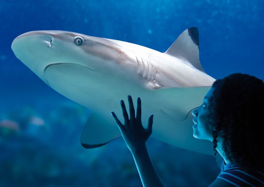 SEA LIFE Paris: Admission Ticket - Educational Talks and Feeding Sessions