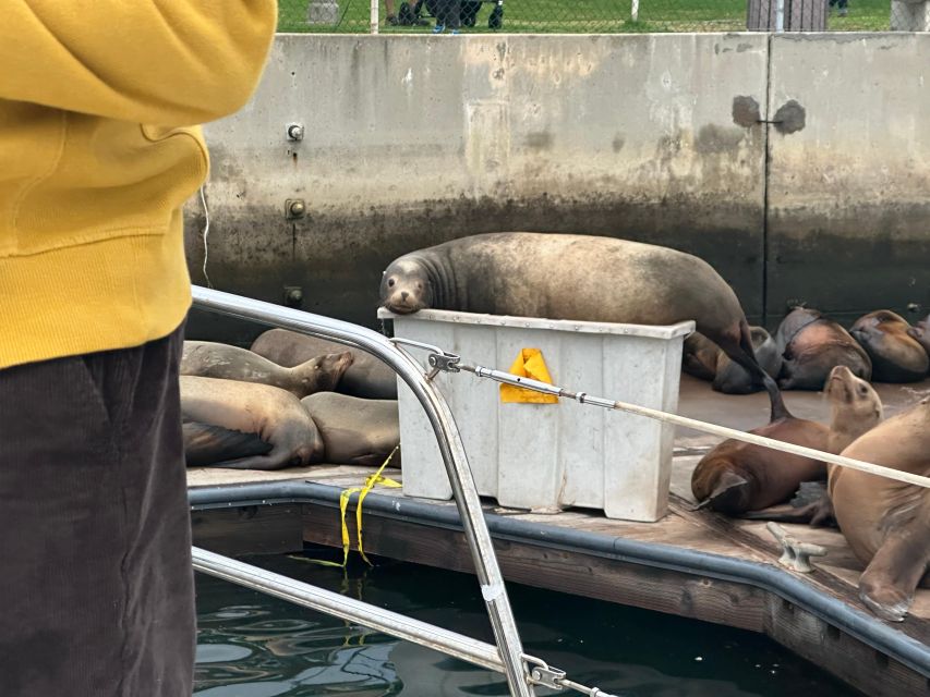 Sea Lion Excursion - Tour Duration