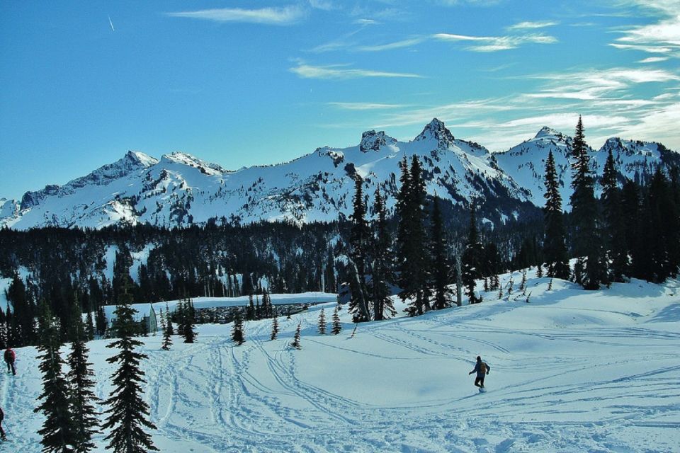 Seattle: Mount Rainier Park All-Inclusive Small Group Tour - Guided Tours and Hikes