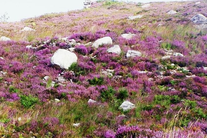 Self Guided Electric Bike Tour of Historical Sites in the Burren Co Clare - Fitness Level Recommendation