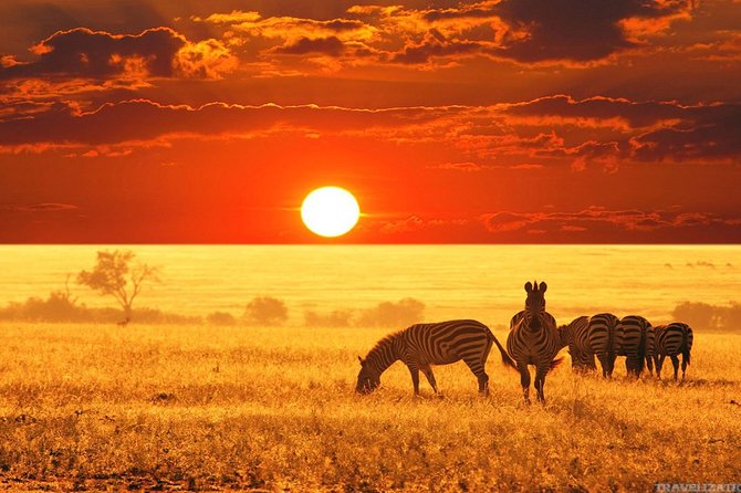 Serengeti & Ngorongoro 3 Days Fly Safari in From Zanzibar - Flight Details