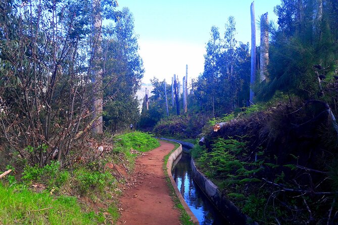 Serra D'Agua Valley - Levada Walk - Guide and Accessibility