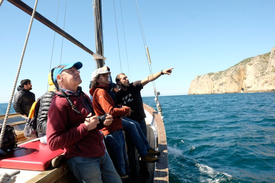 Sesimbra & Arrábida: Full-Day Traditional Boat Experience - Dining Options for the Day